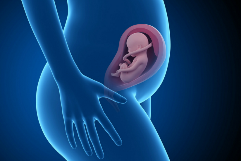 28 Ssw Harter Bauch Druck Nach Unten 28. SSW - Das Immunsystem wird aktiv & die Organe sind entwickelt