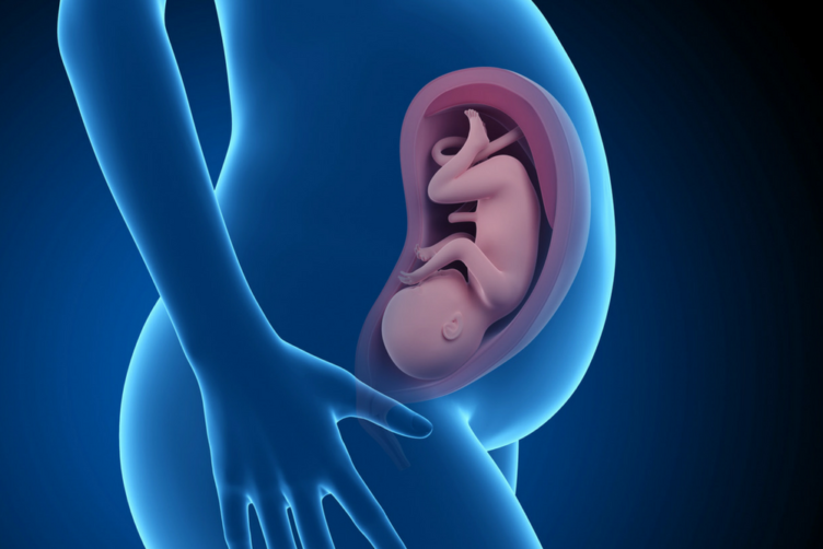 Ziehen In Der Leiste Schwangerschaft 35 Ssw 35. SSW - Blasenschwäche und andere Schwangerschaftsbeschwerden