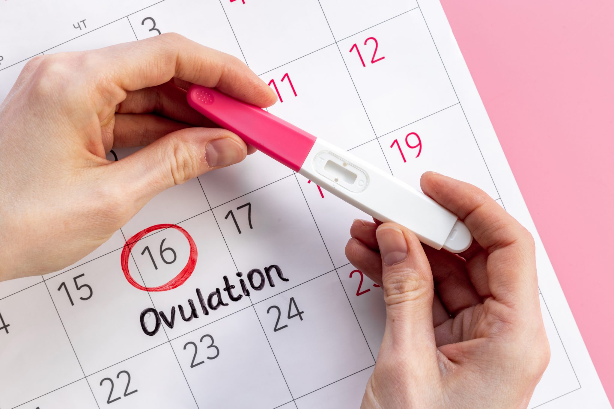 Ovulationstest positiv Wann der Eisprung kommt Babyartikel.de Magazin