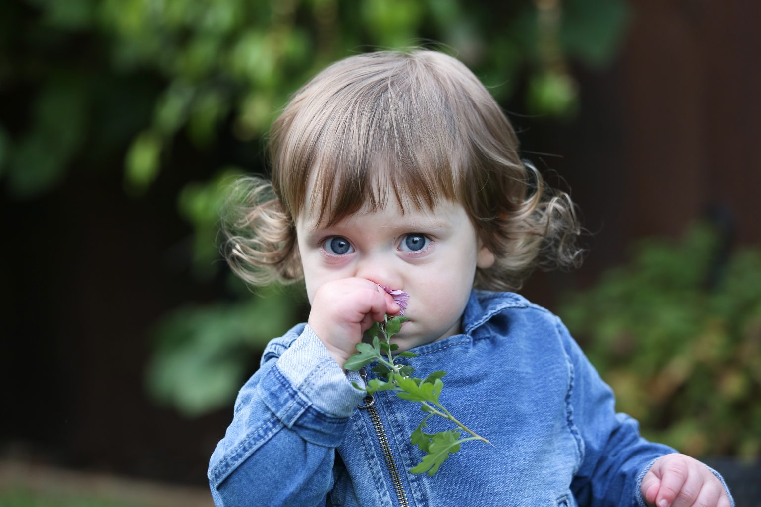 Kind 17 Monate Entwicklung, Schlaf und Essverhalten Babyartikel.de